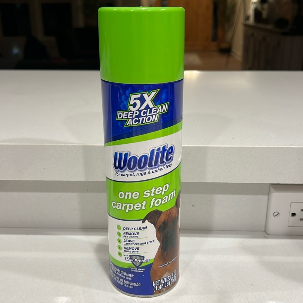 Woolite One Step Foam Carpet Cleaner - 22 oz
